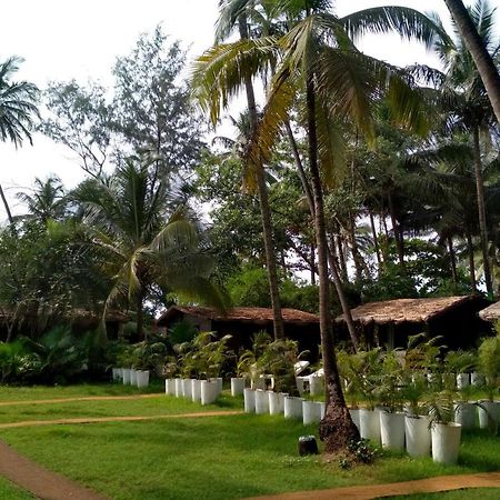 Mamagoa Resort Morjim Ngoại thất bức ảnh